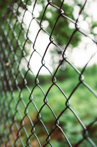 Chain link